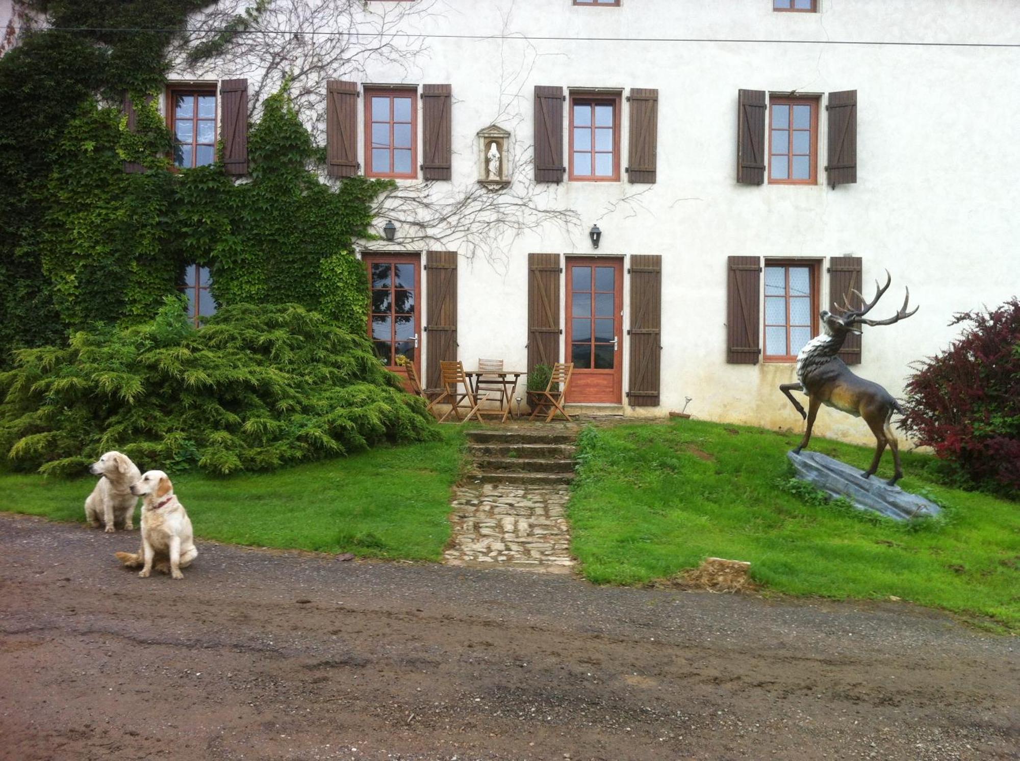 Where to Stay Near Nancy's Fine Arts Museum: 2 Hotels for Couples