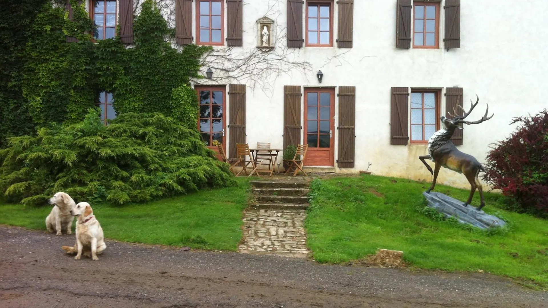 Where to Stay Near Nancy's Fine Arts Museum: 2 Hotels for Couples